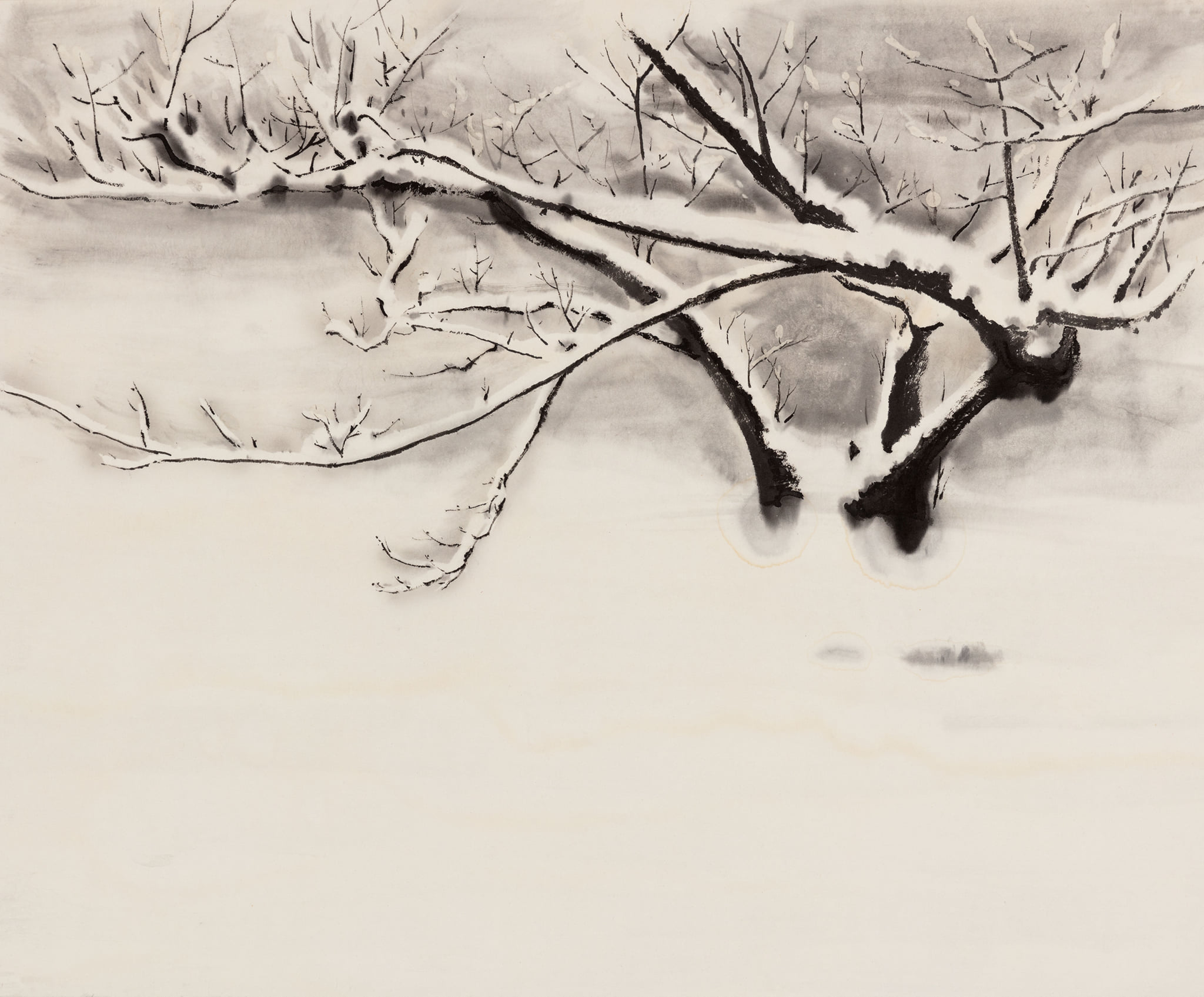 作家部門 受賞作品