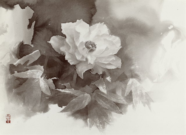 白い花／2014